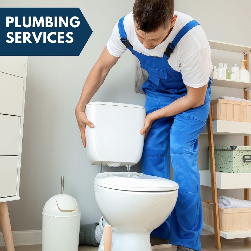 Plumbing Company in Elkville, IL